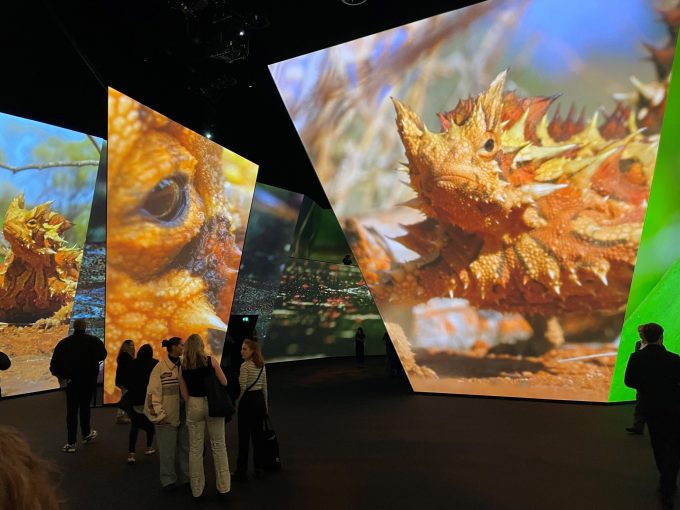 Projectie natuurbeelden op schermen
