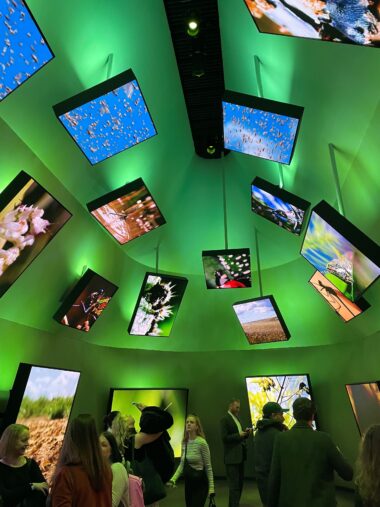 LED panels at BBC Earth exhibition