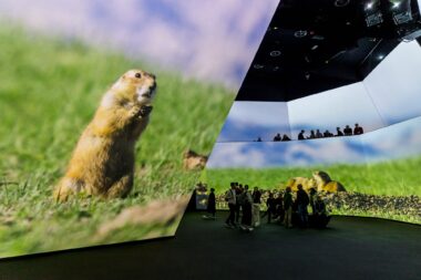 David Attenborough BBC exhibition